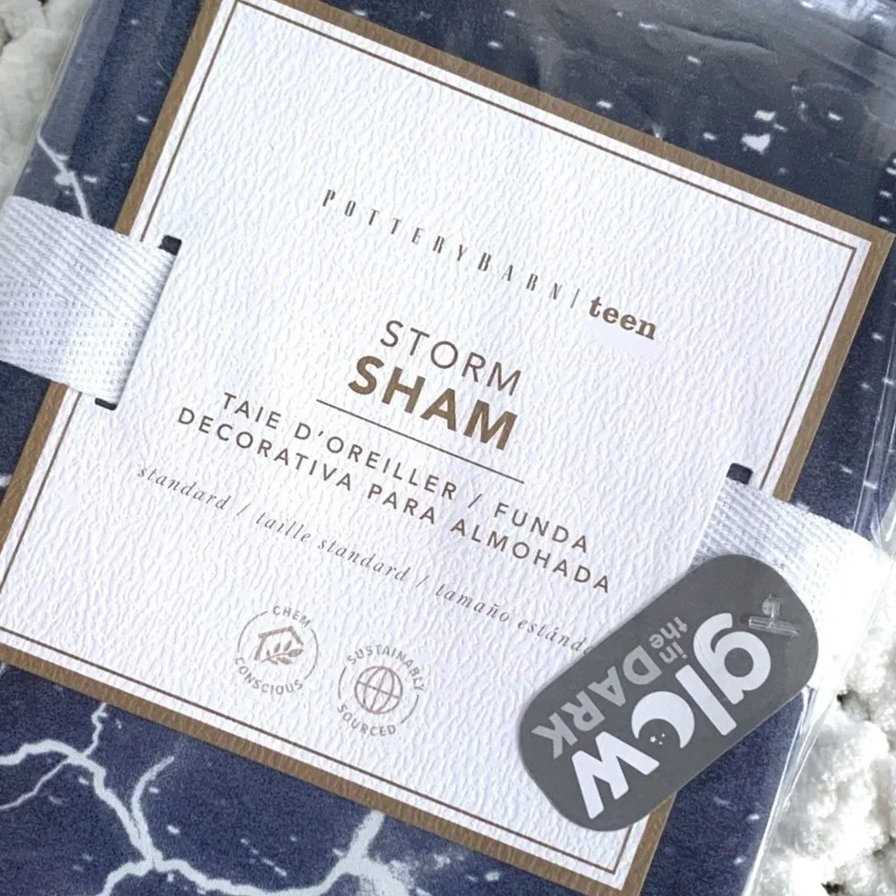 NWT 1x Pottery Barn Storm Glow-in-the-Dark Pillow Sham (Blue)